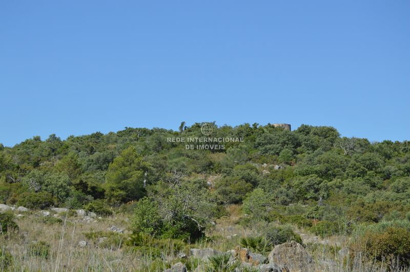 Land Agricultural with 93960sqm Foupana Olhão