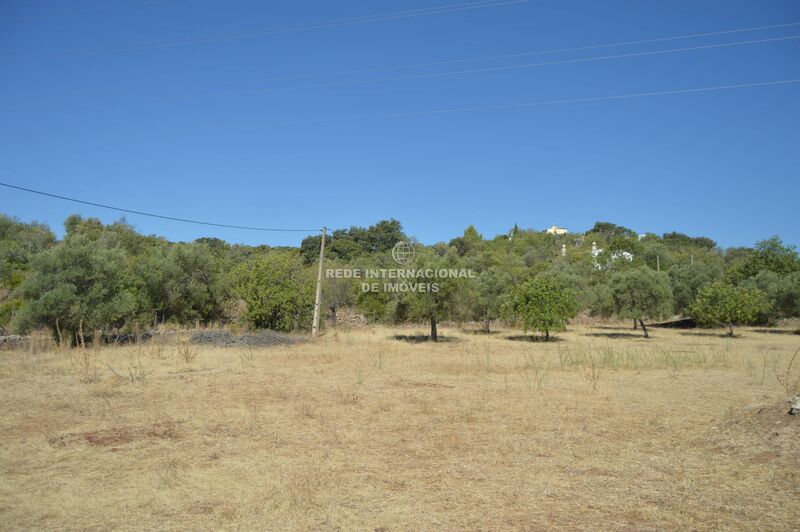 Terreno Agrícola com 70040m2 Santa Catarina da Fonte do Bispo Tavira - sobreiros