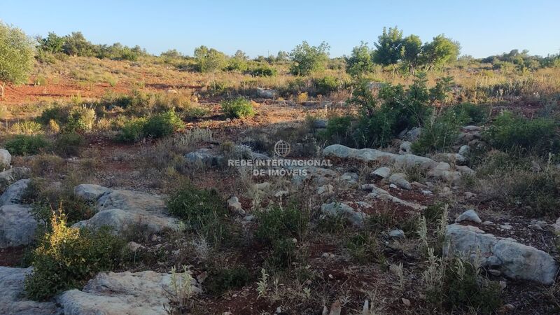 Land Rustic with 20240sqm Cerro Azul Olhão - electricity, mains water, water