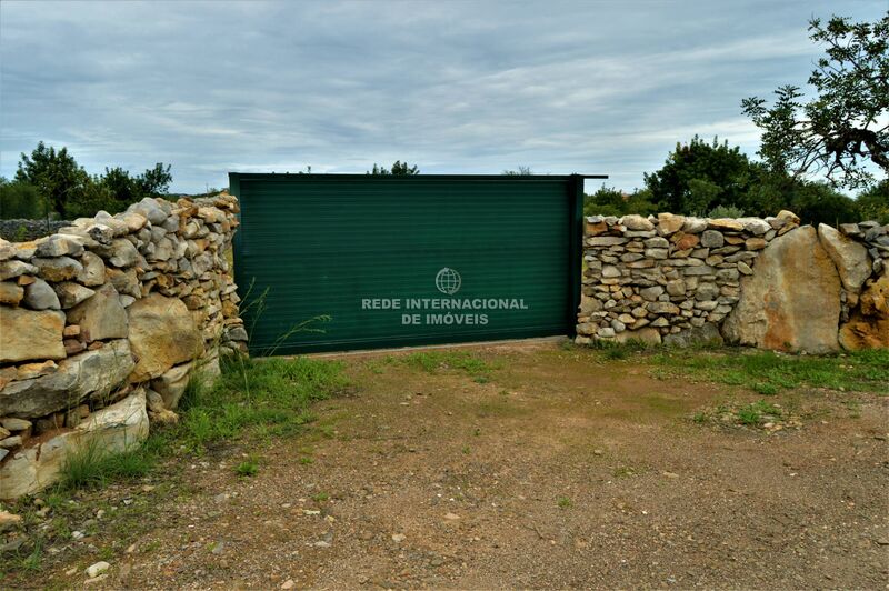 Terreno Agrícola com 14020m2 Santa Catarina da Fonte do Bispo Tavira - furo, árvores de fruto, oliveiras, sobreiros