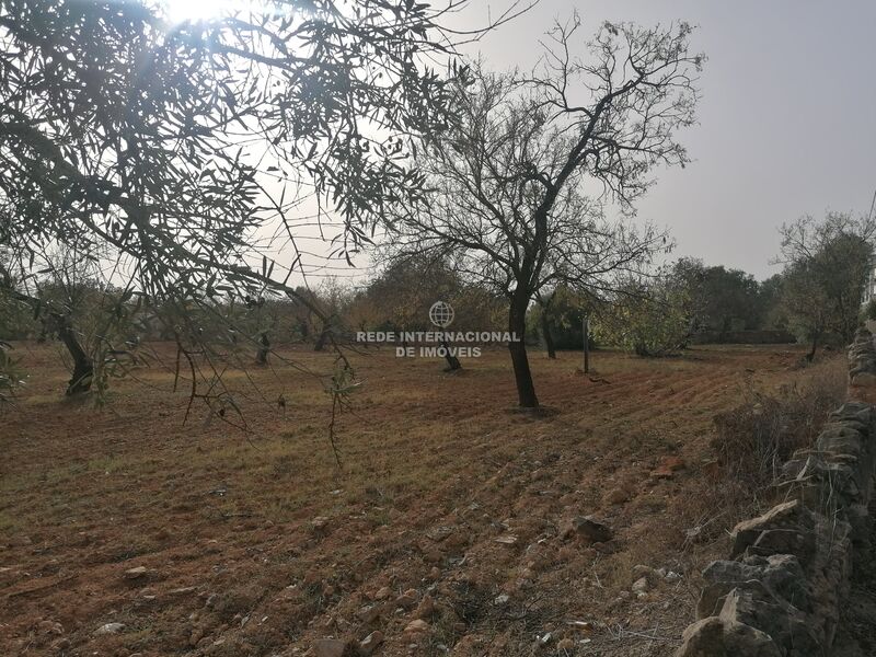 Land Urban with 8250sqm Faro - electricity, water, great location, easy access