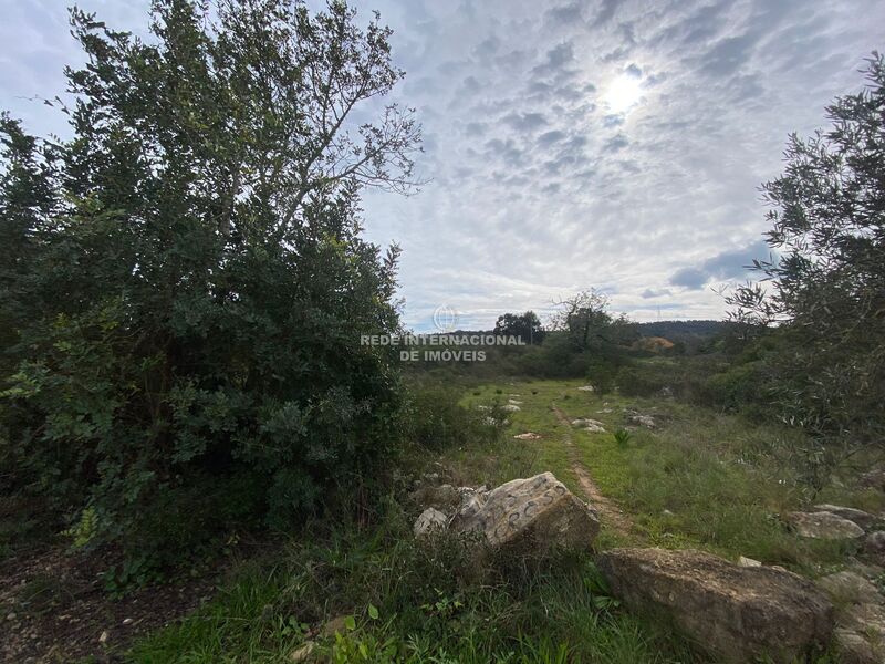 Land with 7480sqm Murta Faro - water, electricity