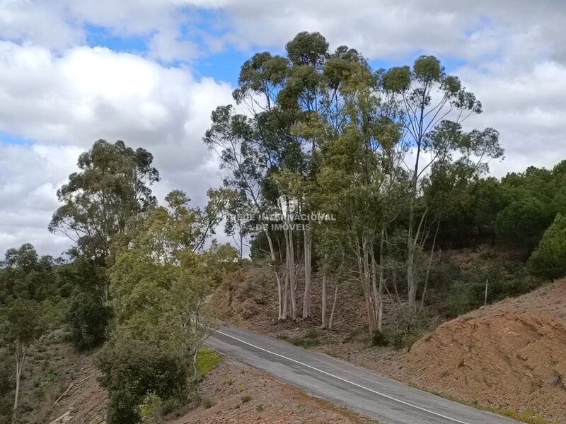 À venda Terreno novo com 156800m2 Azinhal Castro Marim - excelente vista, bons acessos, água, bom acesso