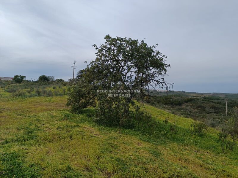 Land nieuw with 34500sqm Sentinela Azinhal Castro Marim - electricity, water, easy access