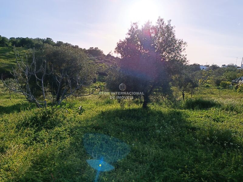 Land new with 16480sqm Piçarral Azinhal Castro Marim - water, great view, electricity, easy access