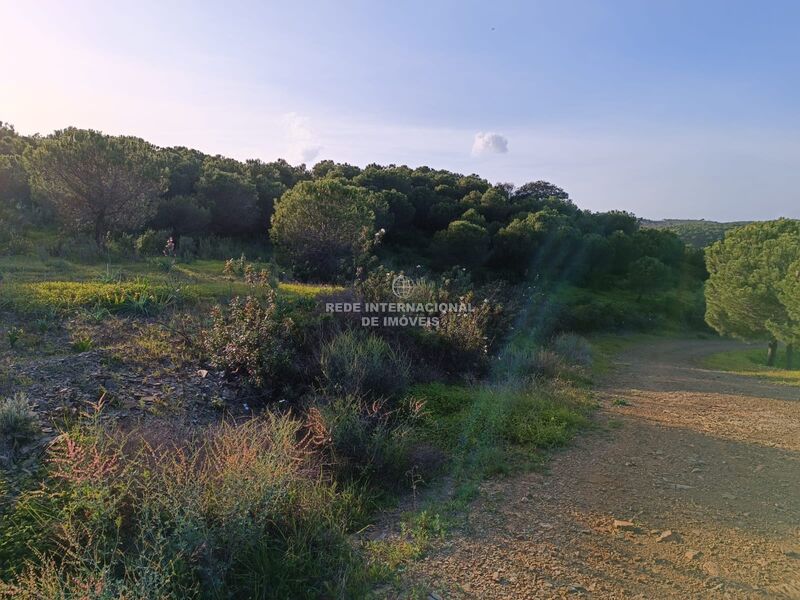 Land Agricultural flat Piçarral Azinhal Castro Marim - great view, easy access, water