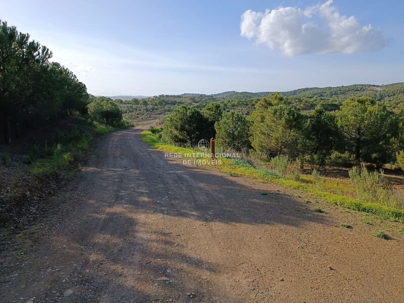 Terreno novo com 42480m2 Beliche Castro Marim - bons acessos, excelente vista