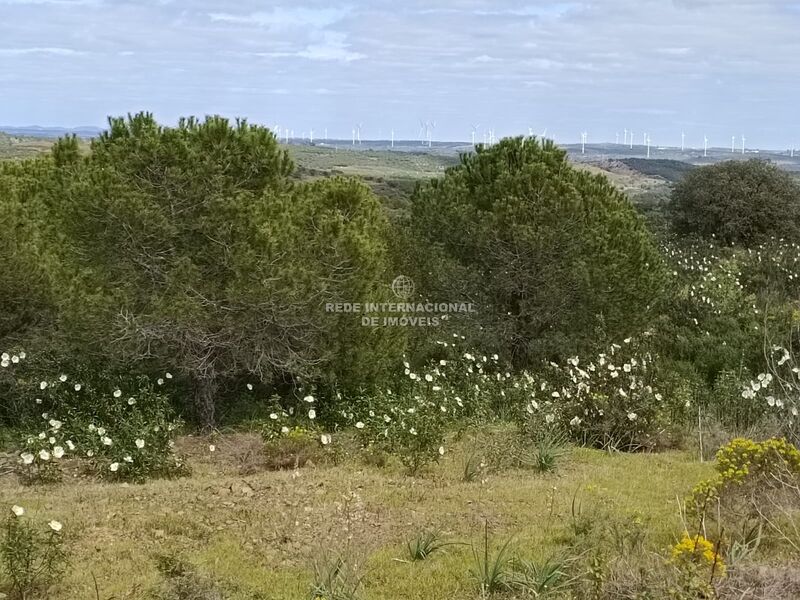 Terreno Rústico com 5920m2 Piçarral Azinhal Castro Marim - electricidade