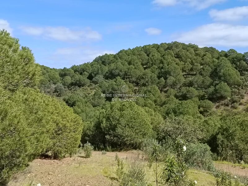 Terreno Agrícola com 87920m2 Sentinela Azinhal Castro Marim - excelente vista, bons acessos