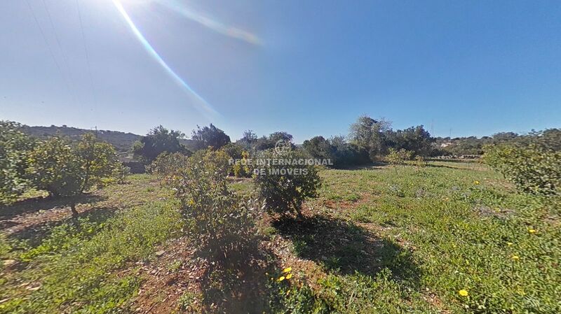 Land Rustic with 3840sqm Azinheiro Faro - water, mains water, electricity