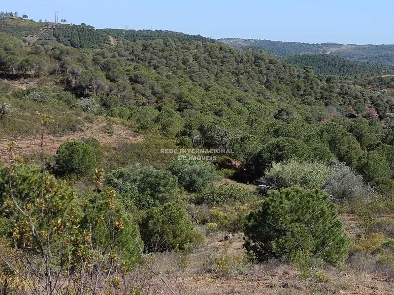 Terreno Rústico plano Vale do Pereiro Odeleite Castro Marim - excelente vista, bons acessos