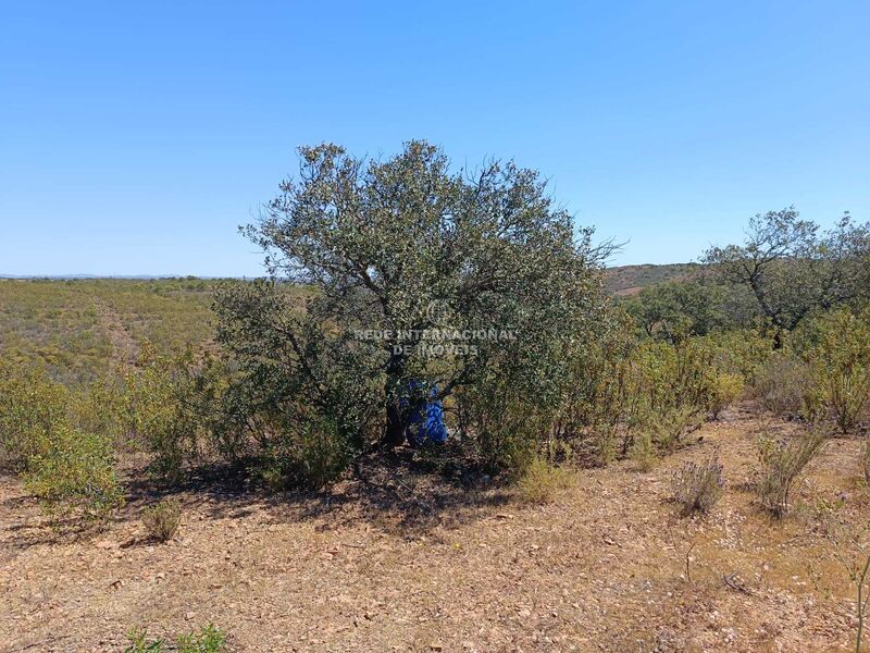 Terreno novo com 34700m2 Choça Queimada Odeleite Castro Marim - electricidade, água, bons acessos