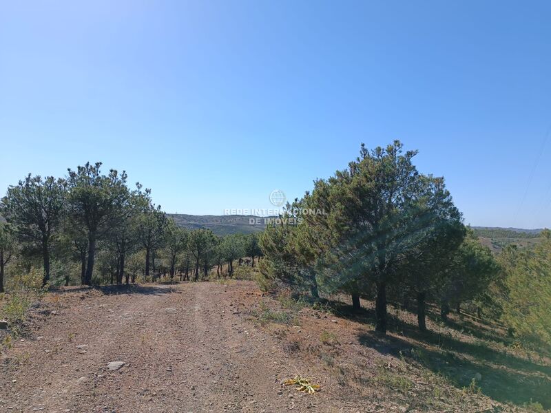 Land new with 33600sqm Almada de Ouro Azinhal Castro Marim - easy access