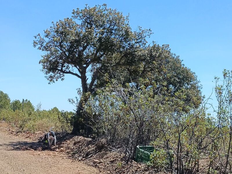 Terreno novo com 4520m2 Corte do Gago Azinhal Castro Marim - bons acessos, excelente vista