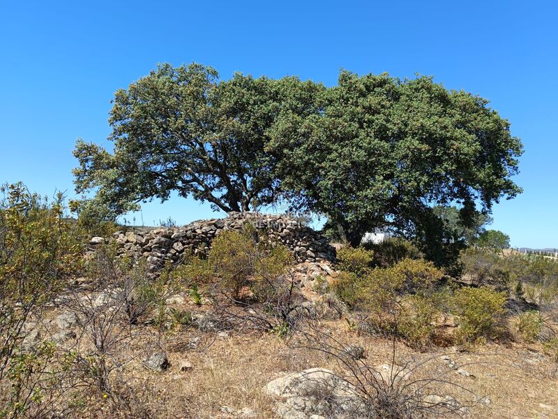 Terreno novo com 3280m2 Choça Queimada Odeleite Castro Marim - electricidade, água, bons acessos