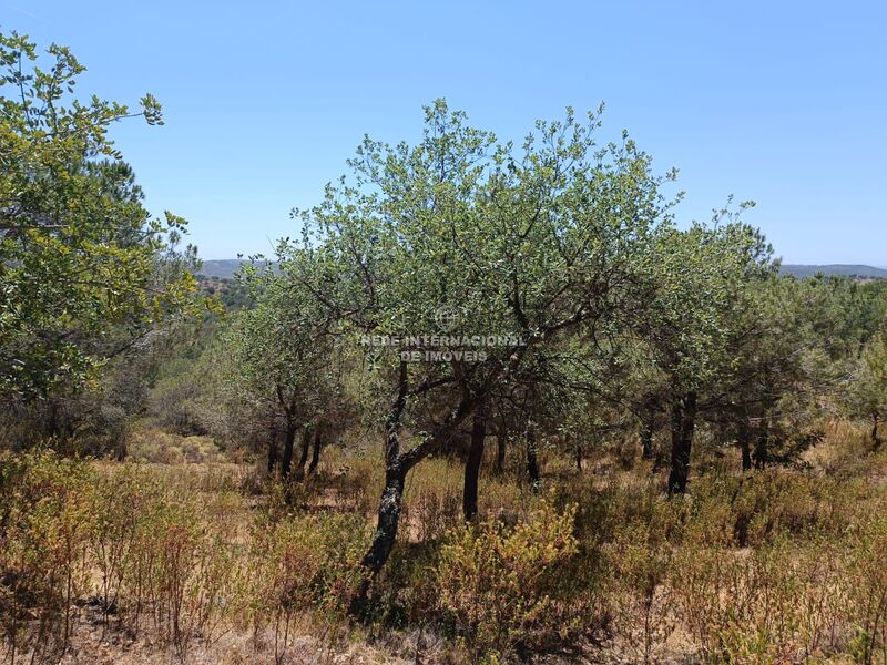 Land uusi with 5160sqm Foz de Odeleite Castro Marim