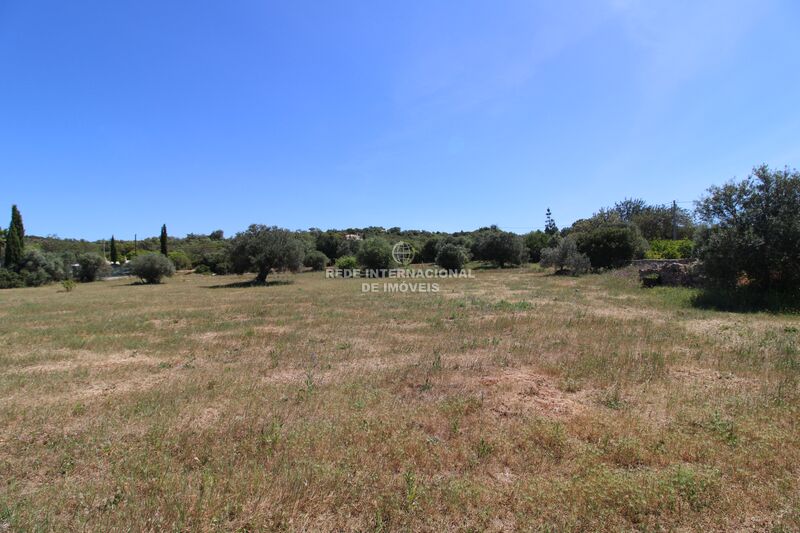 Land Rustic with 12760sqm Azinhal e Amendoeira Faro - electricity, tank, olive trees