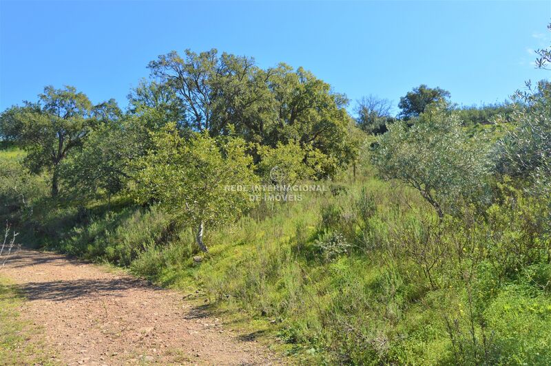 Land Agricultural with 150sqm Santa Catarina da Fonte do Bispo Tavira - water, well