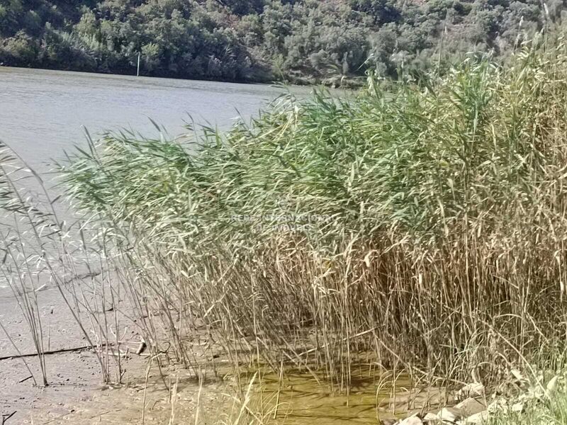 Terreno novo com 760m2 Laranjeiras Alcoutim - luz, bons acessos