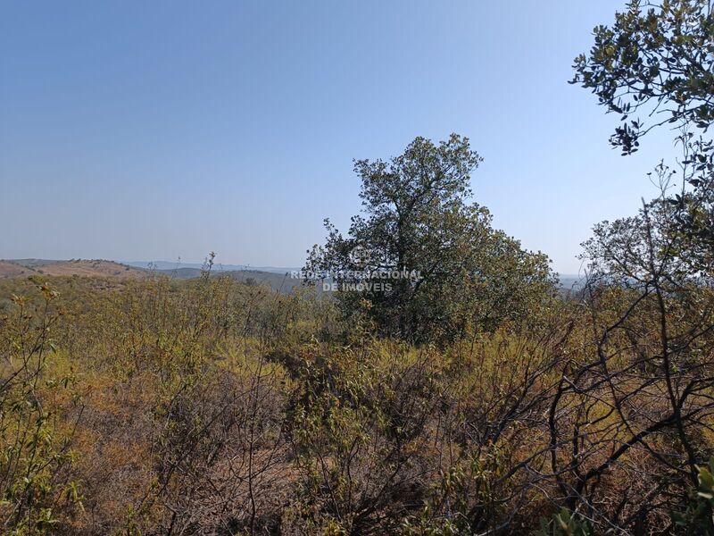 Terreno Rústico com 7240m2 Balurcos Alcoutim - bons acessos