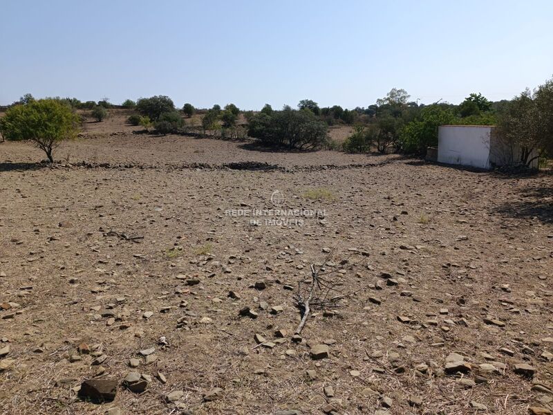 Terreno plano Balurcos Alcoutim - água, bons acessos, electricidade