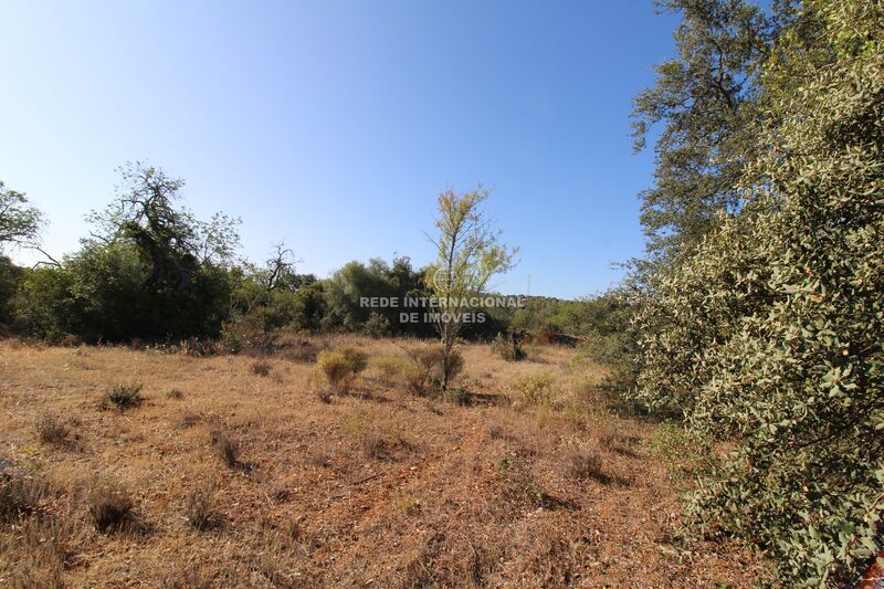 Land Alcaria Cova Faro - ,