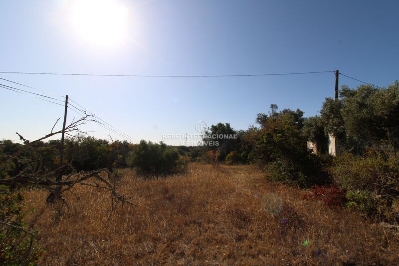 Land with 1600sqm Faro - arable crop, olive trees