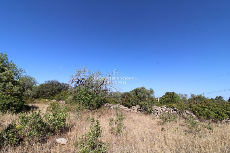 Terreno Agrícola com 1640m2 Faro