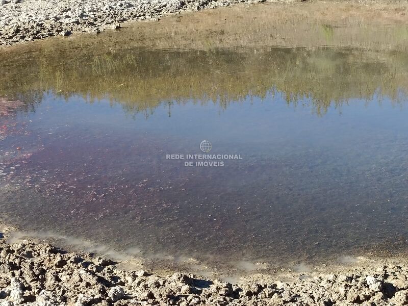 Terreno Agrícola com 74680m2 Vaqueiros Alcoutim - excelente vista