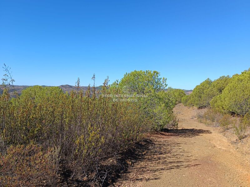 Land Agricultural with 137480sqm Vaqueiros Alcoutim - great view, electricity