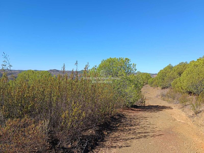 Land with 137480sqm Vaqueiros Alcoutim - ,