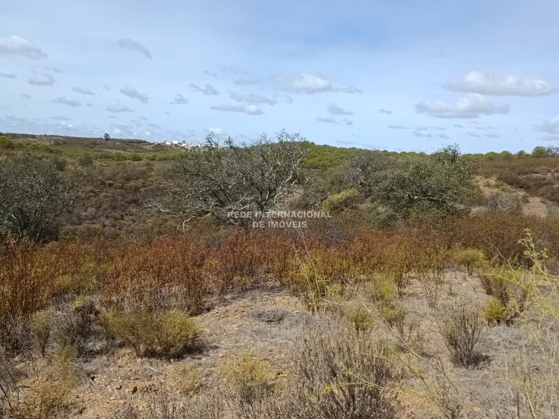 Land Rustic with 3200sqm Azinhal Castro Marim - electricity, easy access