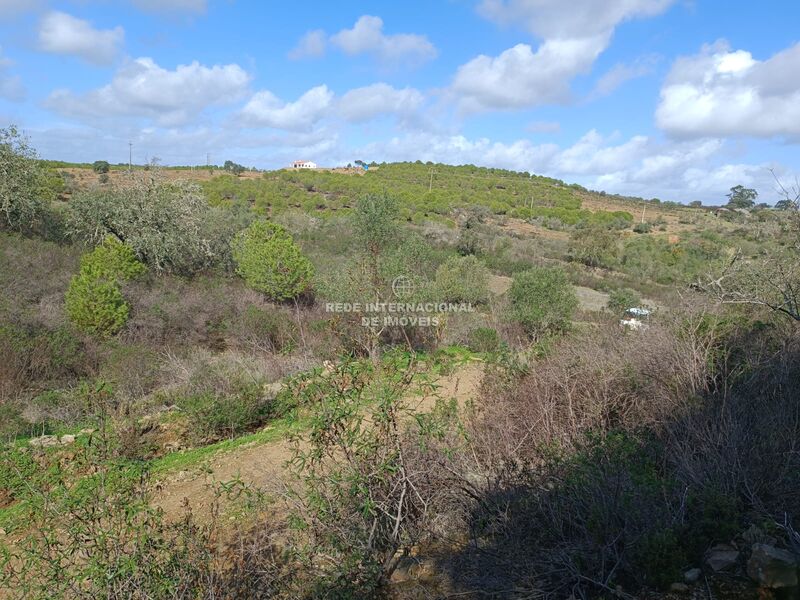 Terreno novo com 13120m2 Torneiro Alcoutim - água, electricidade