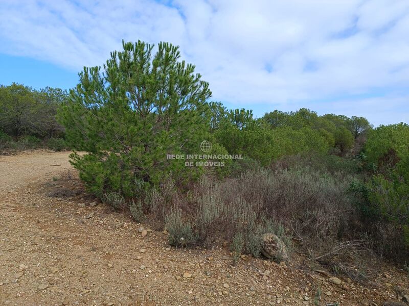 Land Agricultural with 129680sqm Palmeira Alcoutim - easy access, water