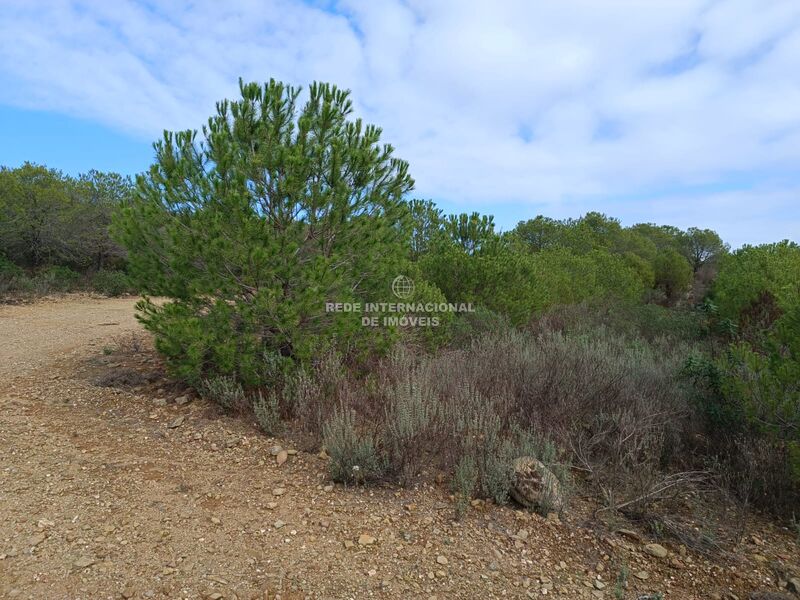 Land with 129680sqm Palmeira Alcoutim - ,