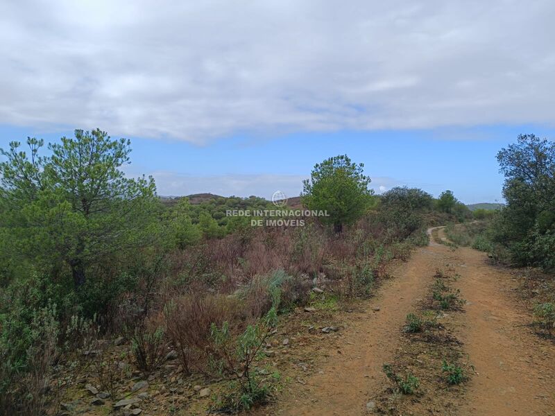 Land Agricultural with 60200sqm Palmeira Alcoutim - easy access, water