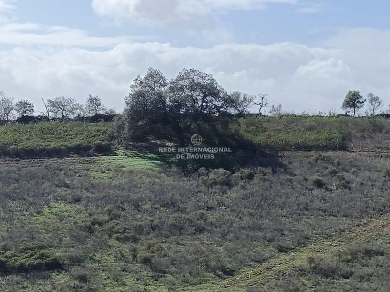 Land Rustic flat Balurcos Alcoutim - electricity, water