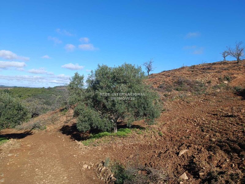 Terreno Rústico com 31200m2 Fernão Gil Odeleite Castro Marim - água, bons acessos, oliveiras, electricidade