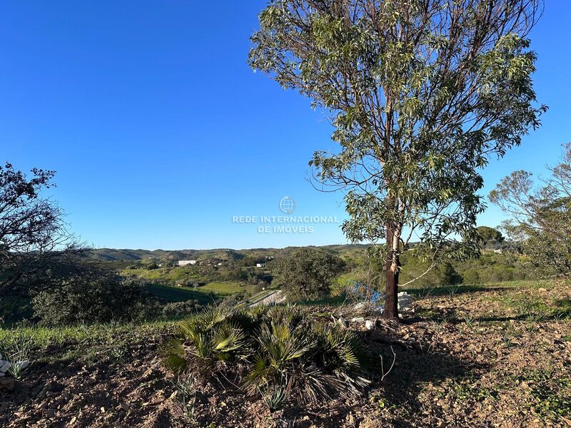 Terreno Agrícola com 13480m2 Castro Marim