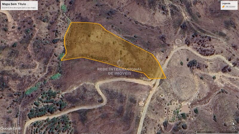 Land Rustic with 9920sqm Azinhal Castro Marim - olive trees