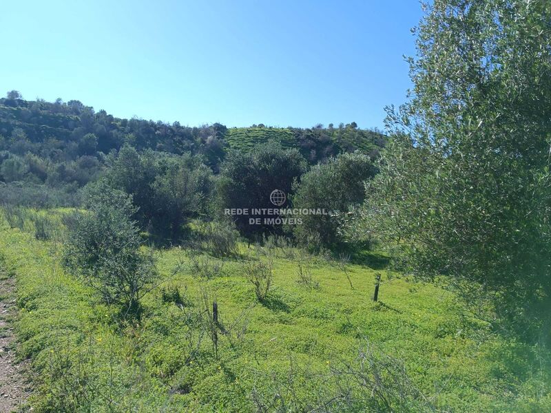 Terreno novo com 6520m2 Pisa Barro de Baixo Castro Marim - água, bons acessos, excelente vista