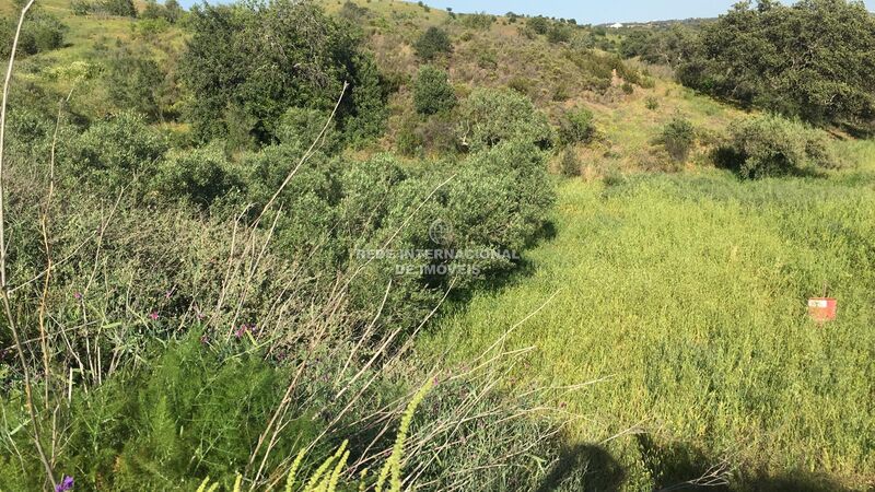 Terreno Rústico com 3676m2 Piçarral Azinhal Castro Marim - bons acessos, excelente vista