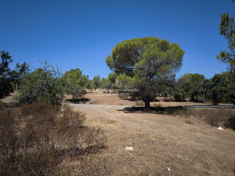 Land Agricultural with 22320sqm Rio Seco Castro Marim - easy access, cork oaks