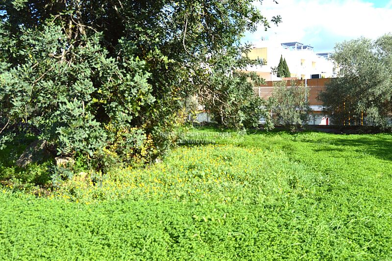 Terreno Urbano com 564m2 Tavira - electricidade, água