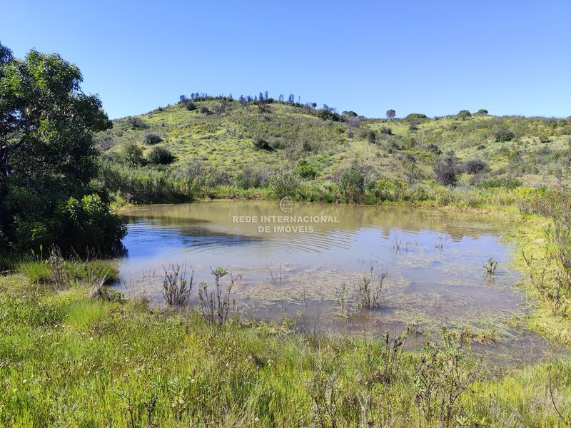 Terreno Rústico com 37731.08m2 Corte de António Martins Tavira
