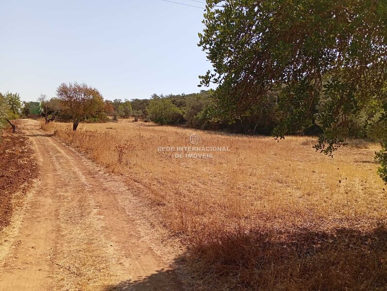 Terreno Rústico com 7200m2 Fonte d'Apra São Clemente Loulé - bons acessos