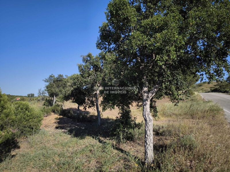 Terreno novo com 62180m2 Corte do Gago Azinhal Castro Marim - sobreiros, oliveiras, poço, água