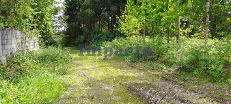 -190005127_aHR0cHM6Ly9tZWRpYWltcGFjdG8ueGltby5wdC8vaW1vdmVpcy81MTI3LzVkY2I2MWYyLTk4YzUtNDY4MC04YWNmLTU1NDFiZTBlYjZjNS5qcGc.webp