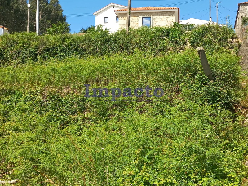 -190005155_aHR0cHM6Ly9tZWRpYWltcGFjdG8ueGltby5wdC8vaW1vdmVpcy81MTU1LzUxYTUzYTdhLWJjYWEtNGY5Zi04N2QwLWI0Y2FhZGYxMDczZi5qcGc.webp
