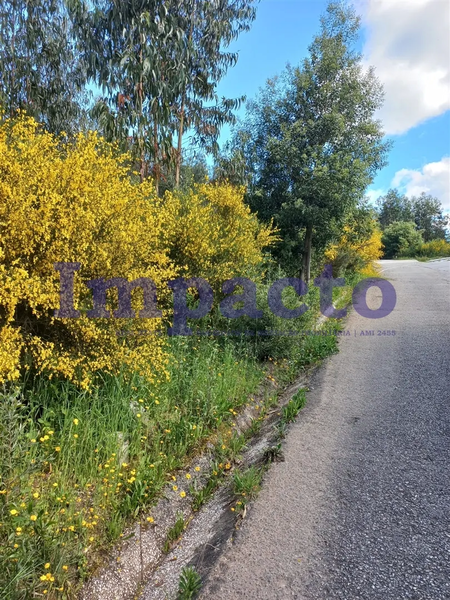 -190005157_aHR0cHM6Ly9tZWRpYWltcGFjdG8ueGltby5wdC8vaW1vdmVpcy81MTU3L2U4ZTEyN2ZmLWI2Y2QtNDRjYy1iZjE4LWZmOGE5NjQwMzI2My5qcGc.webp